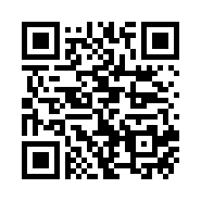 Alicates Ponta Chata 037